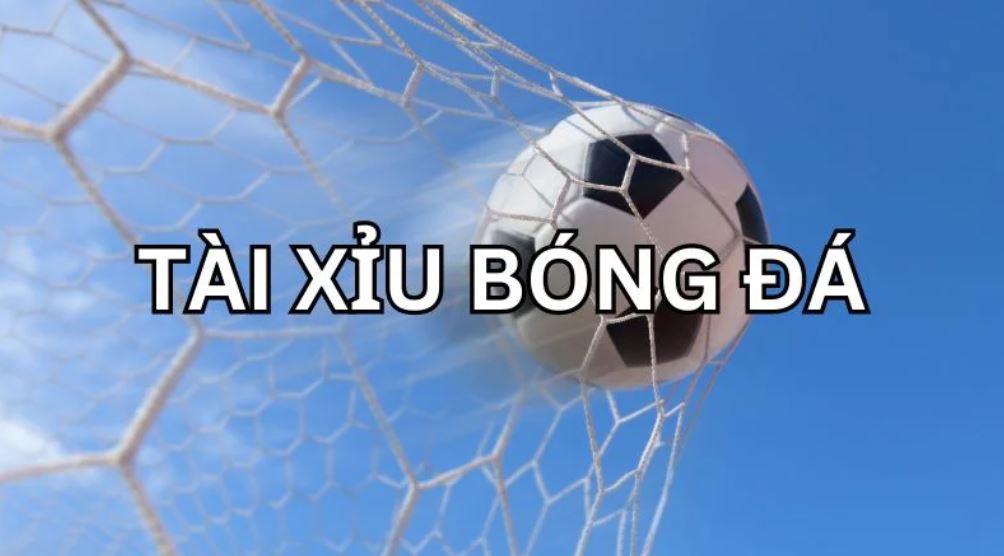 bóng đá 