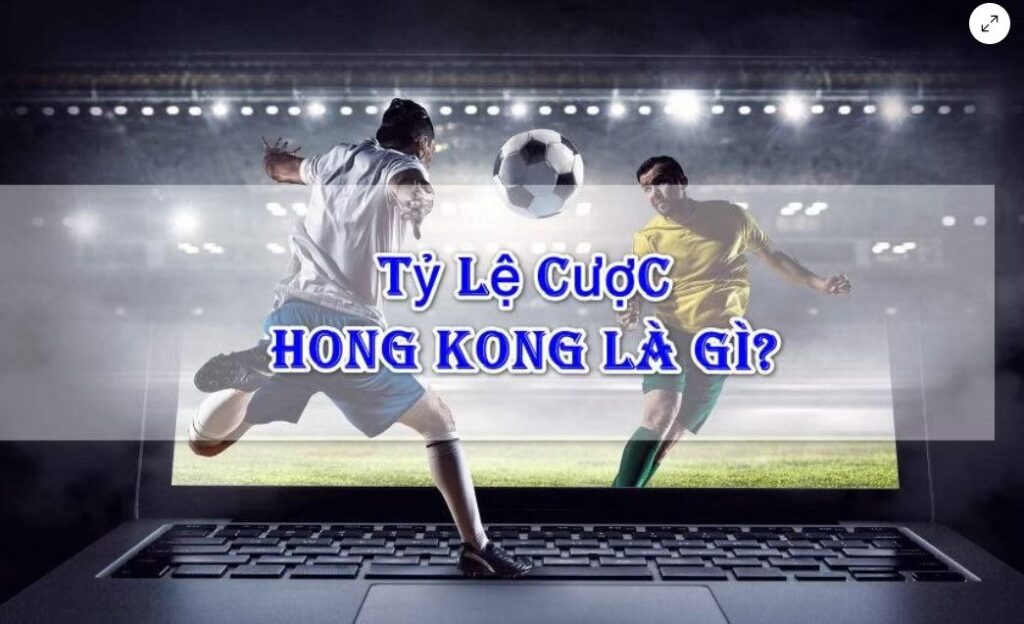 tỷ lệ Hồng Kông là gì